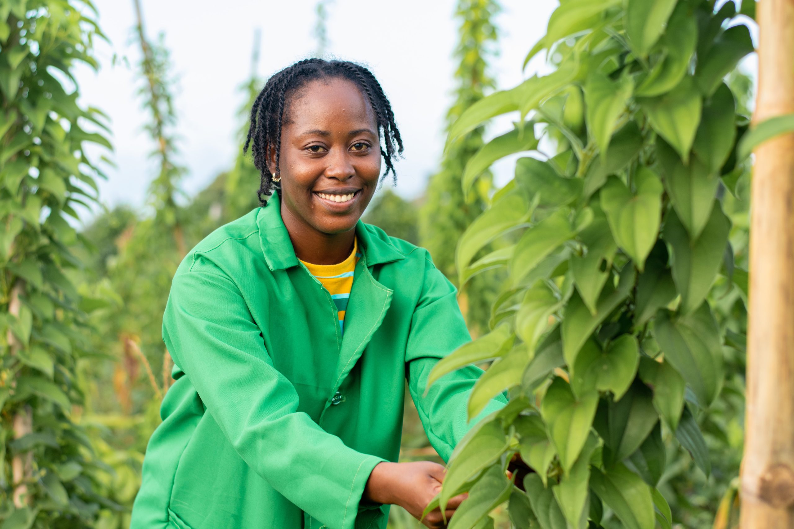 A cheerful African farmer observing the plants on the farm