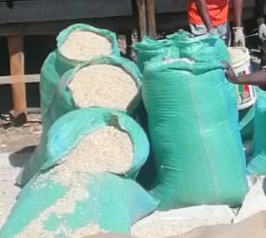 dried maize in sacks