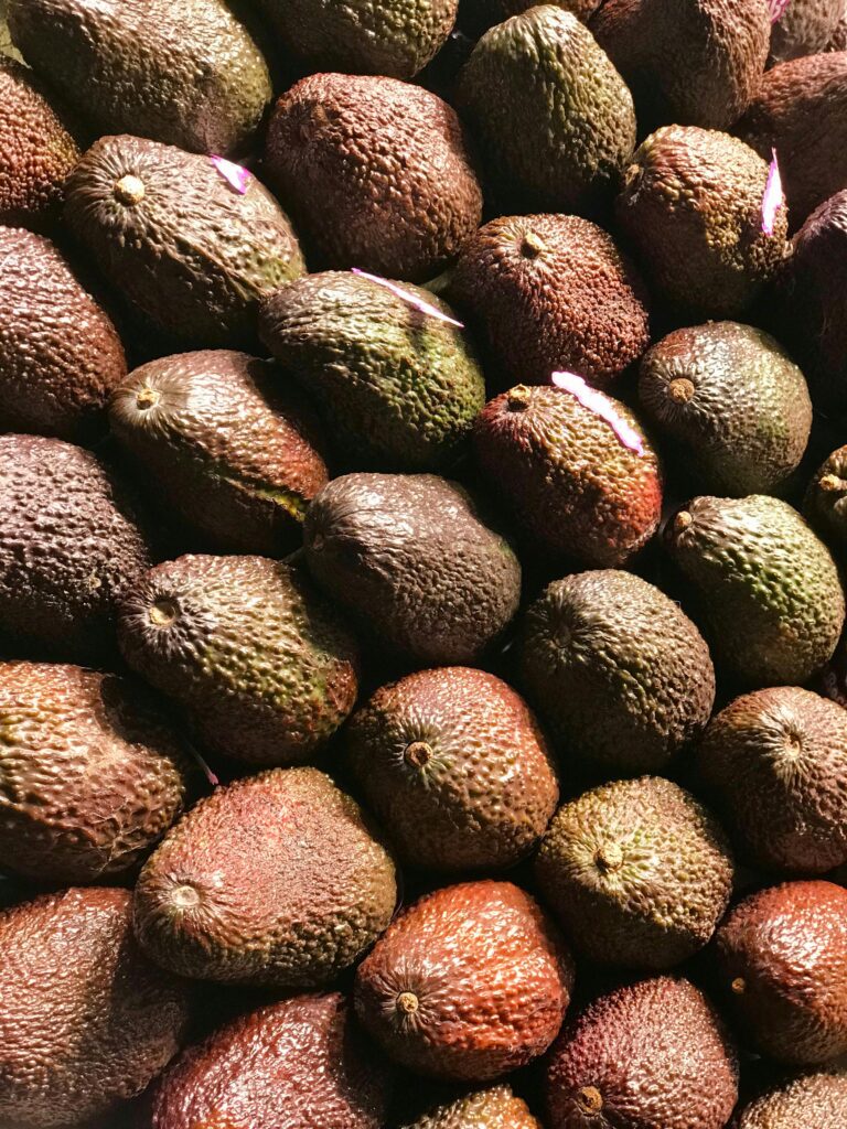 close-up photo of hass avocado