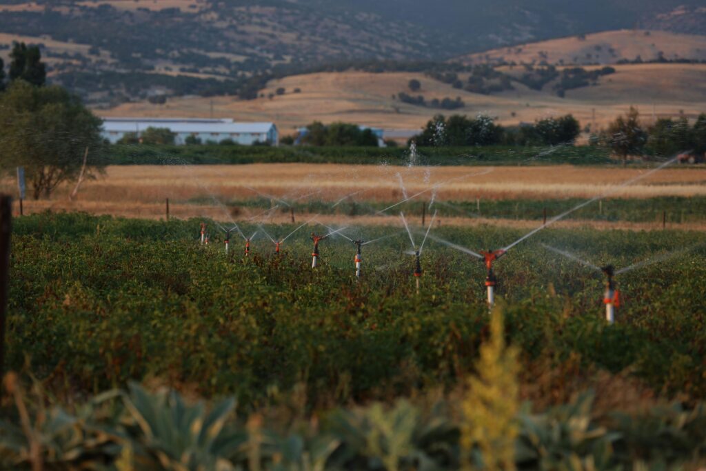 sprinkler irrigation system